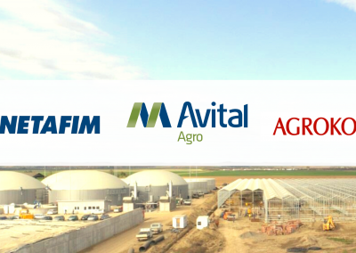 Netafim – Avital Agro – Agrokor