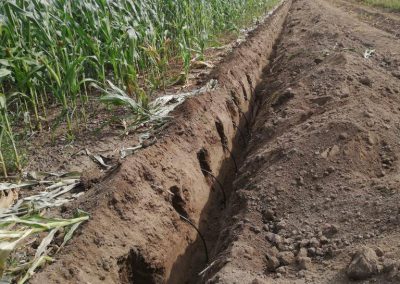Advantages of Subsurface Drip Irrigation (SDI) system
