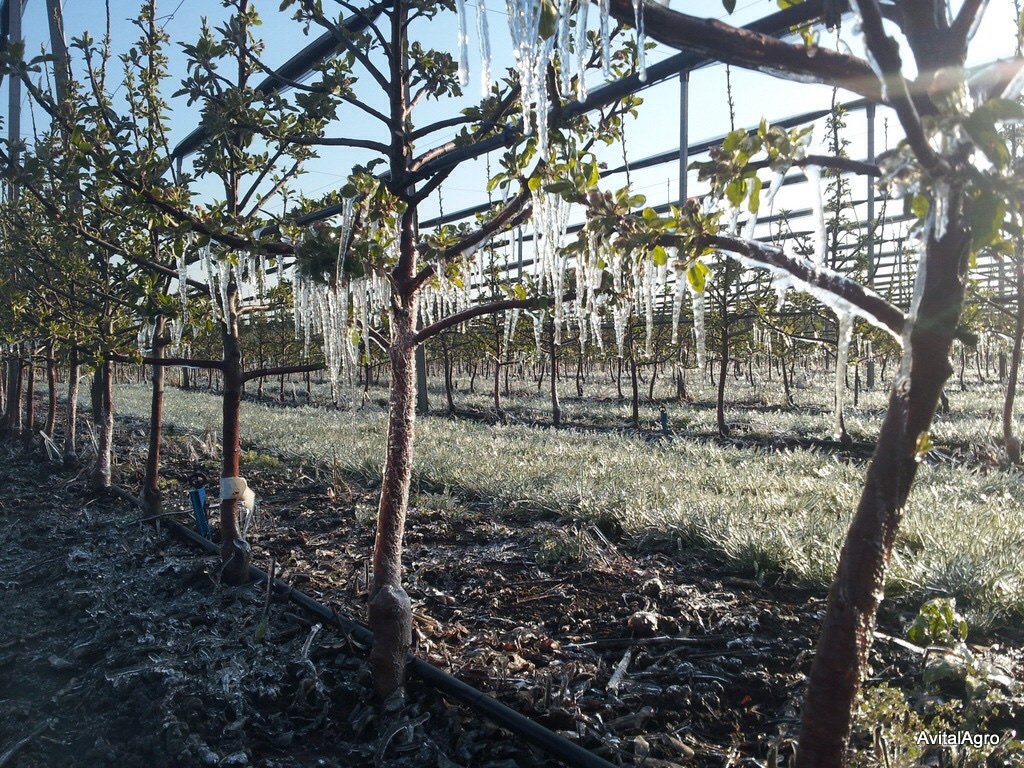 Frost protection and mitigation 2