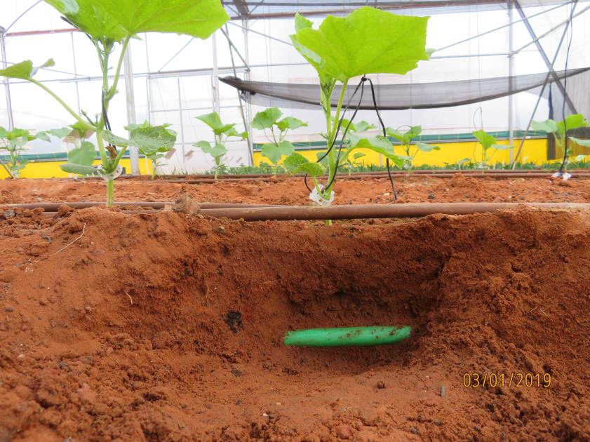 Heating and cooling the root zone